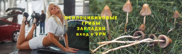 герыч Вяземский